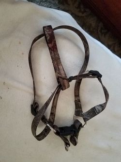 Dog harness