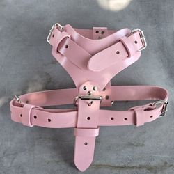 Dog Harness