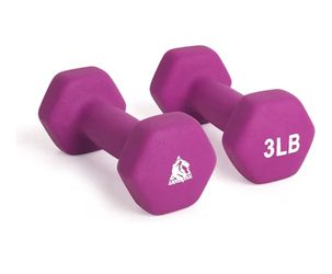3 Pound Dumbbell Set Of 2. Color: Purple 