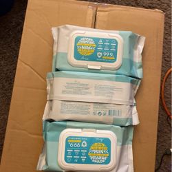 Hand Sanitizing Tissue Wipes