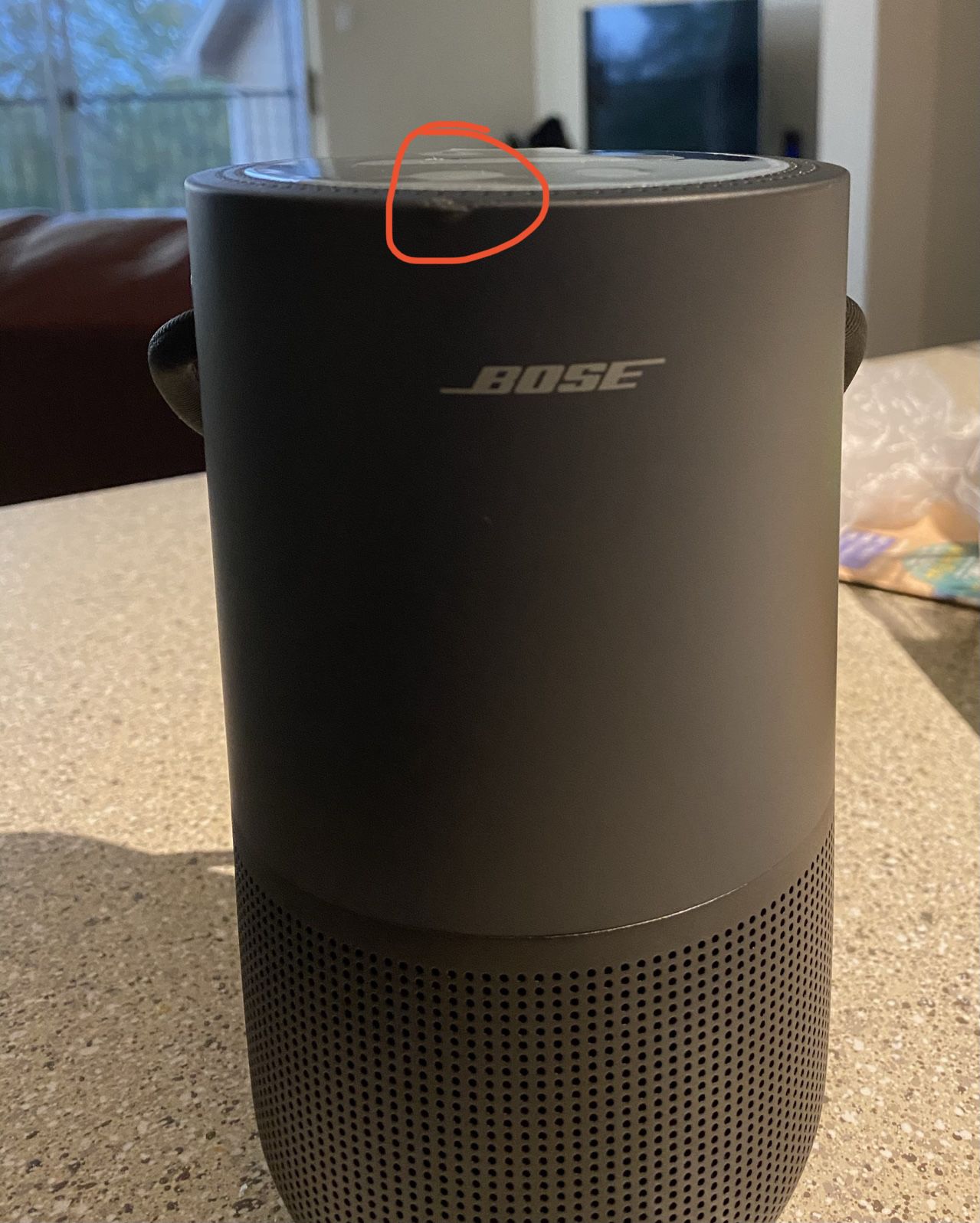Bose portable home speaker