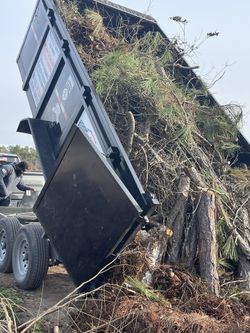 Storm Debris