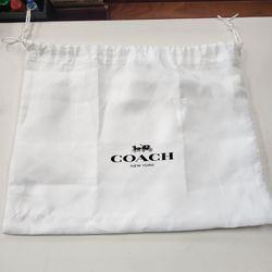 Coach stadium swinger clear bag