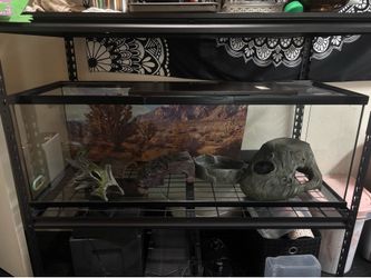 Reptile tank/fish tank 90 gallon