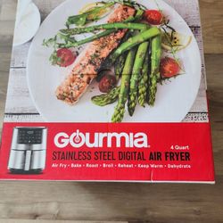 Gourmand Stainless Steel Air Fryer 4-Qt
