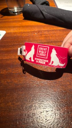 Half day pass for great Wolf lodge