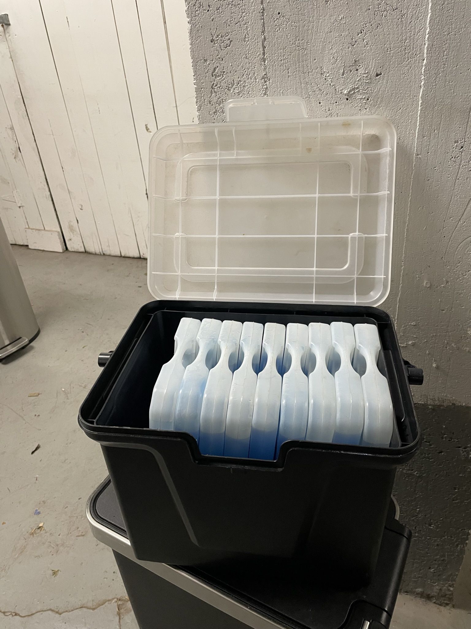 Ice Park Xtreme - Ice Blocks, 3 For $10,. $25 For All 9 Of Them, Like New Condition