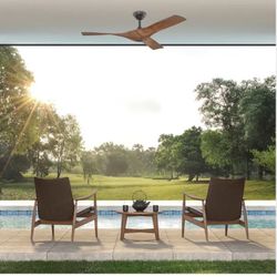 Beautiful Ceiling fan