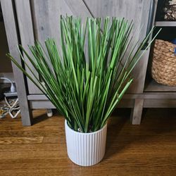 Fake Plant