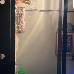 75 Gallon Tank 