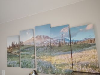 Canvas Mt Ranier Wall Art