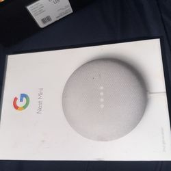 Mini google nest