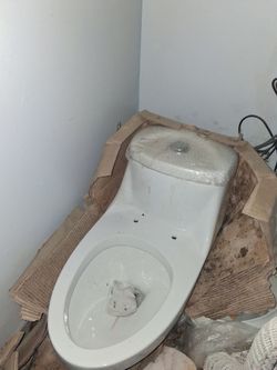 Elegant essentials one-piece toilet