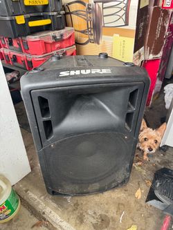 Shure PA Speaker Cabinet