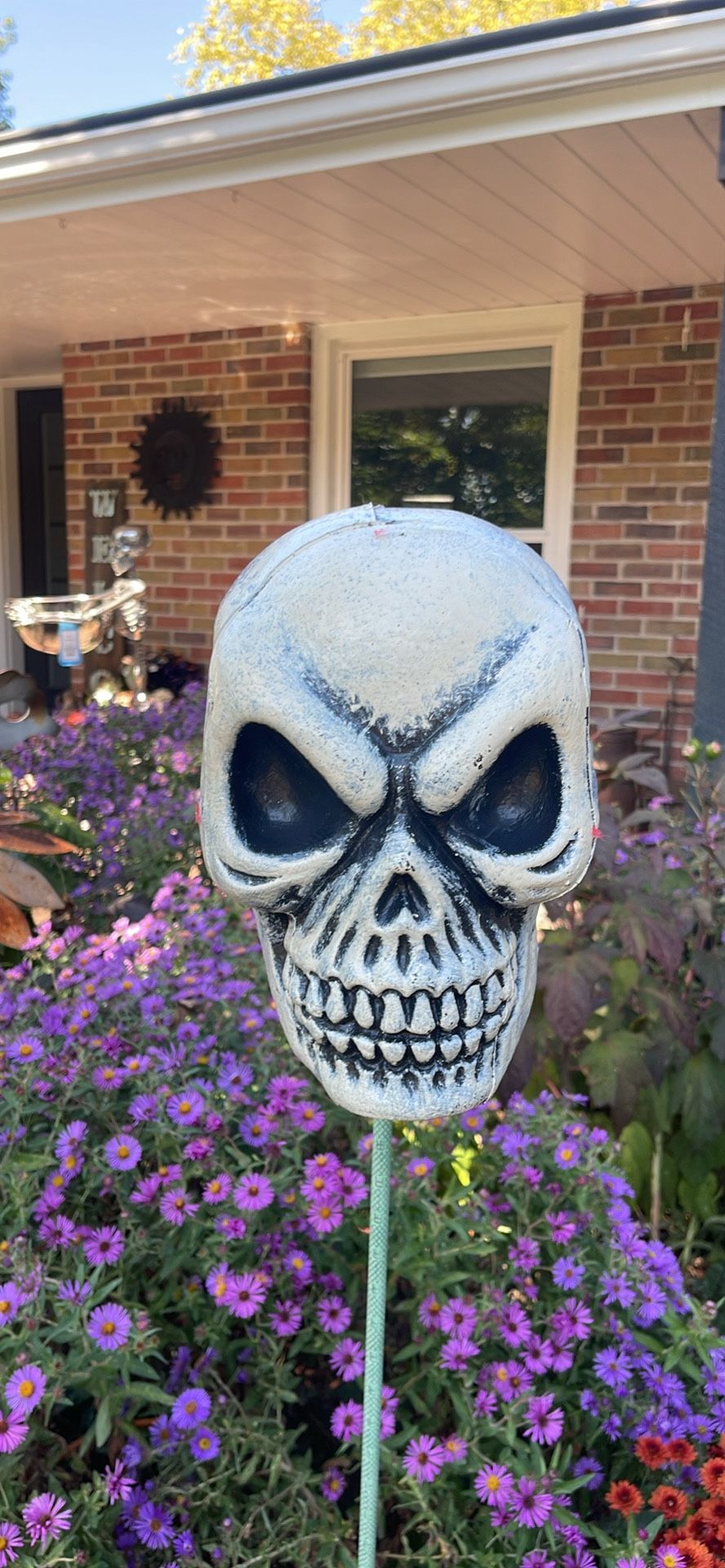 Hard Plastic Mold, Halloween Skeleton, Head Yard Art Decoration, Halloween Prop Scary Face