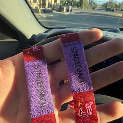 Stagecoach wristband GA!