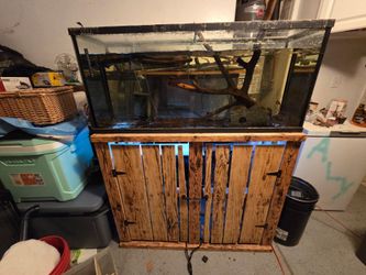 55 gallon Glass Aquarium with Custom Wooden Stand