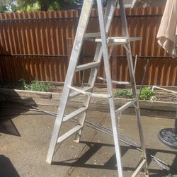 6 Foot Ladder