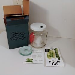Lacto Pickle Kit