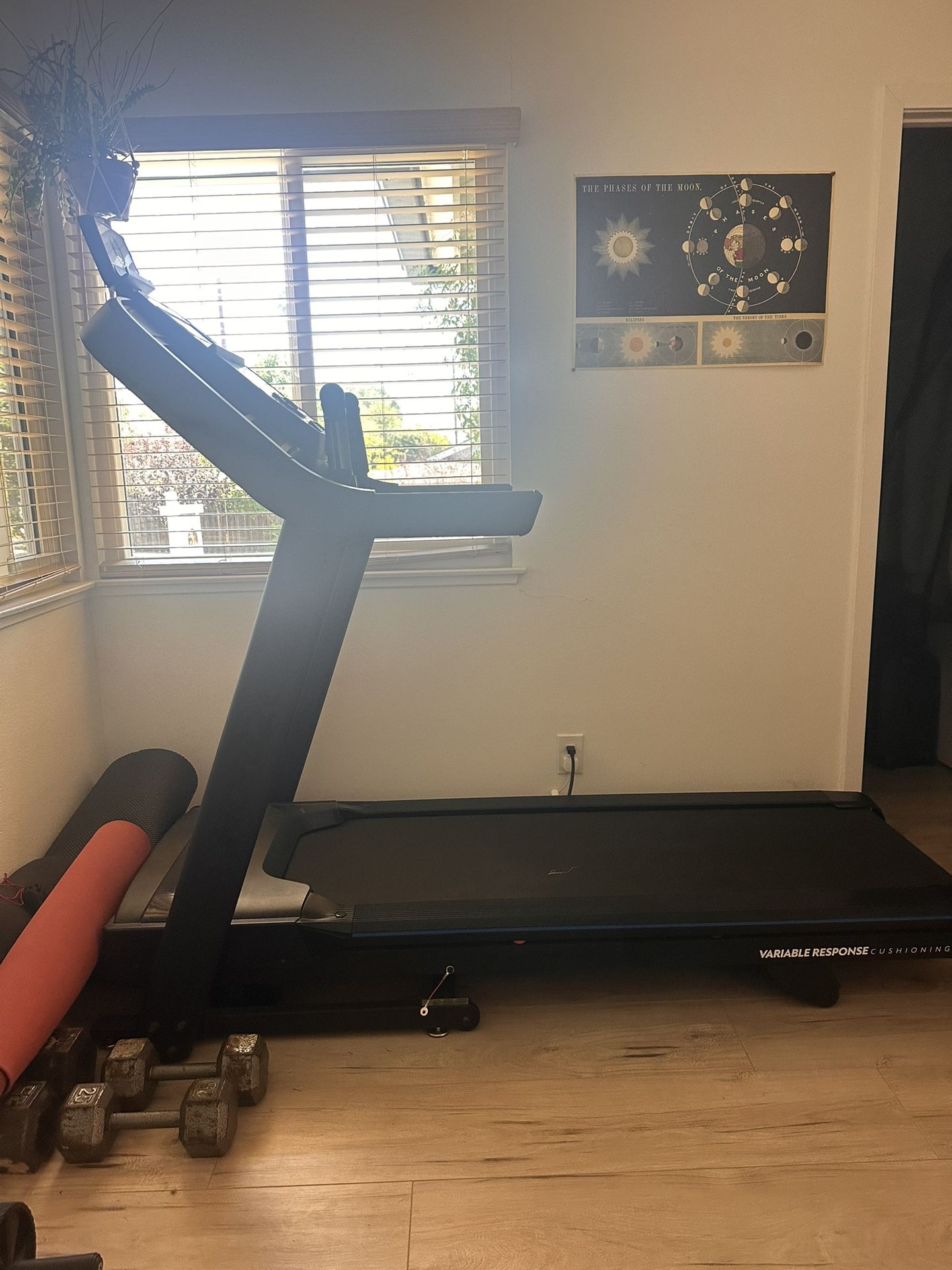Horizon Treadmill