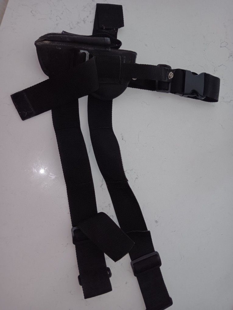 Holster