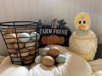Farm Fresh Chicken Eggs/Duck Eggs/Geese Eggs