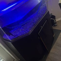 Aquarium