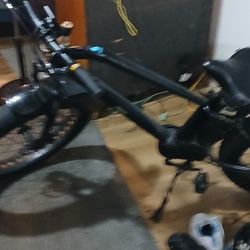 Cruiser e bike