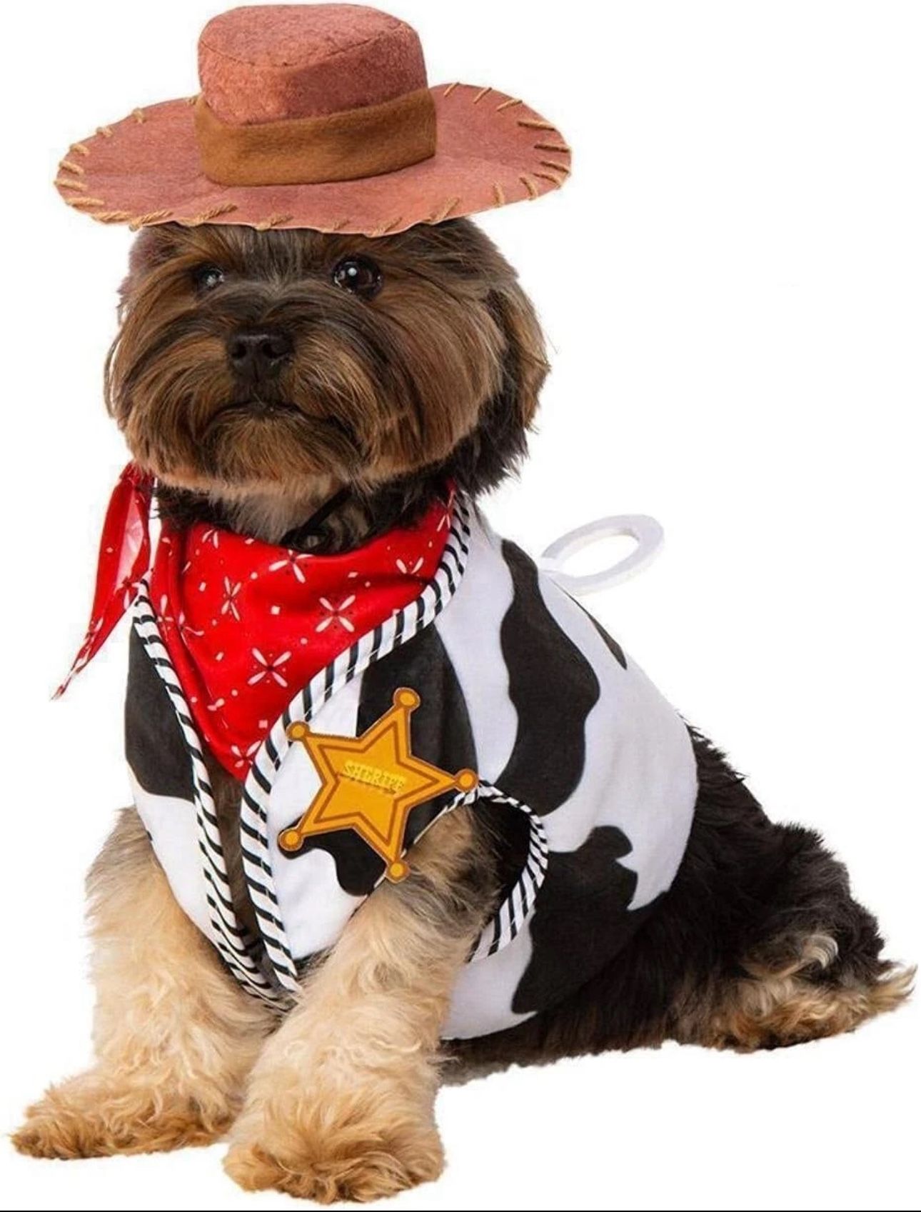 Rubie's Disney Toy Story Woody Cowboy Pet Costume, S/M And M/L 3pc