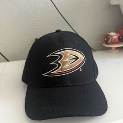 Ducks hat/Cap