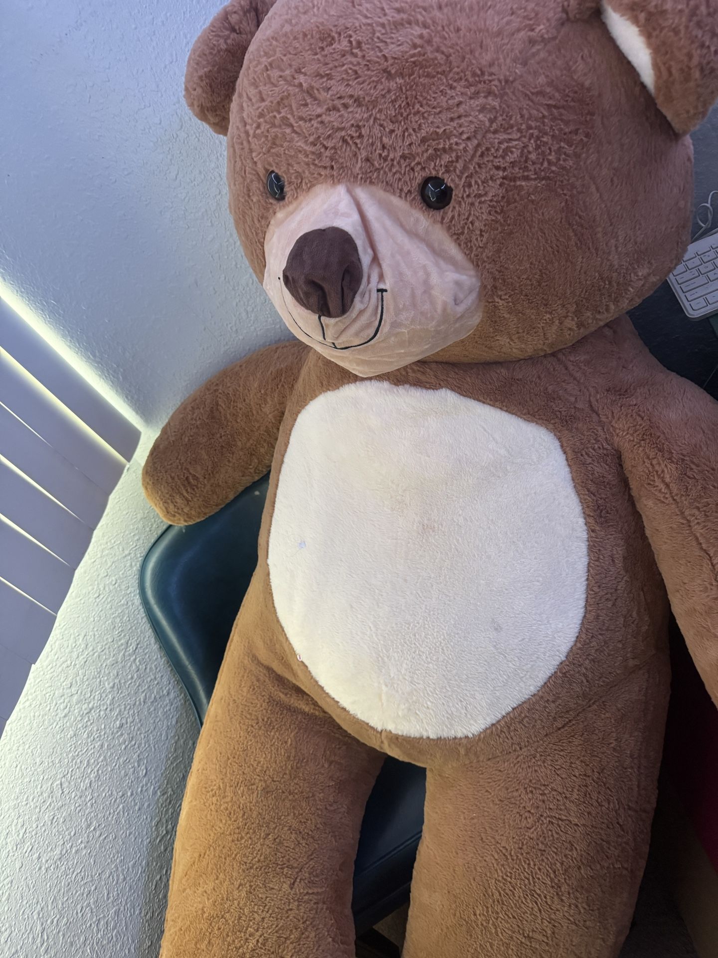 Big Teddy Bear Like New 6foot