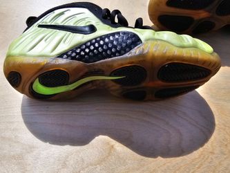 Nike Foamposite Pro