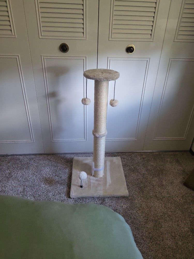 Cat Scratching Post