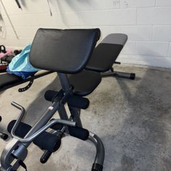 Weight Bench 