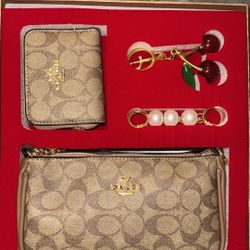 Light Brown Coach Bag Set