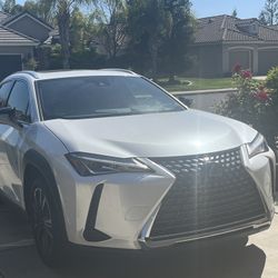 2019 Lexus UX 200