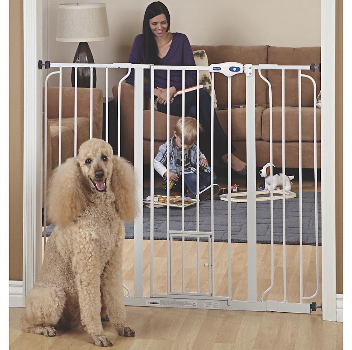 Dog Gate