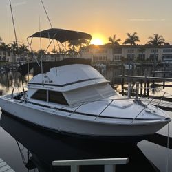 1975 Bertram Convertible