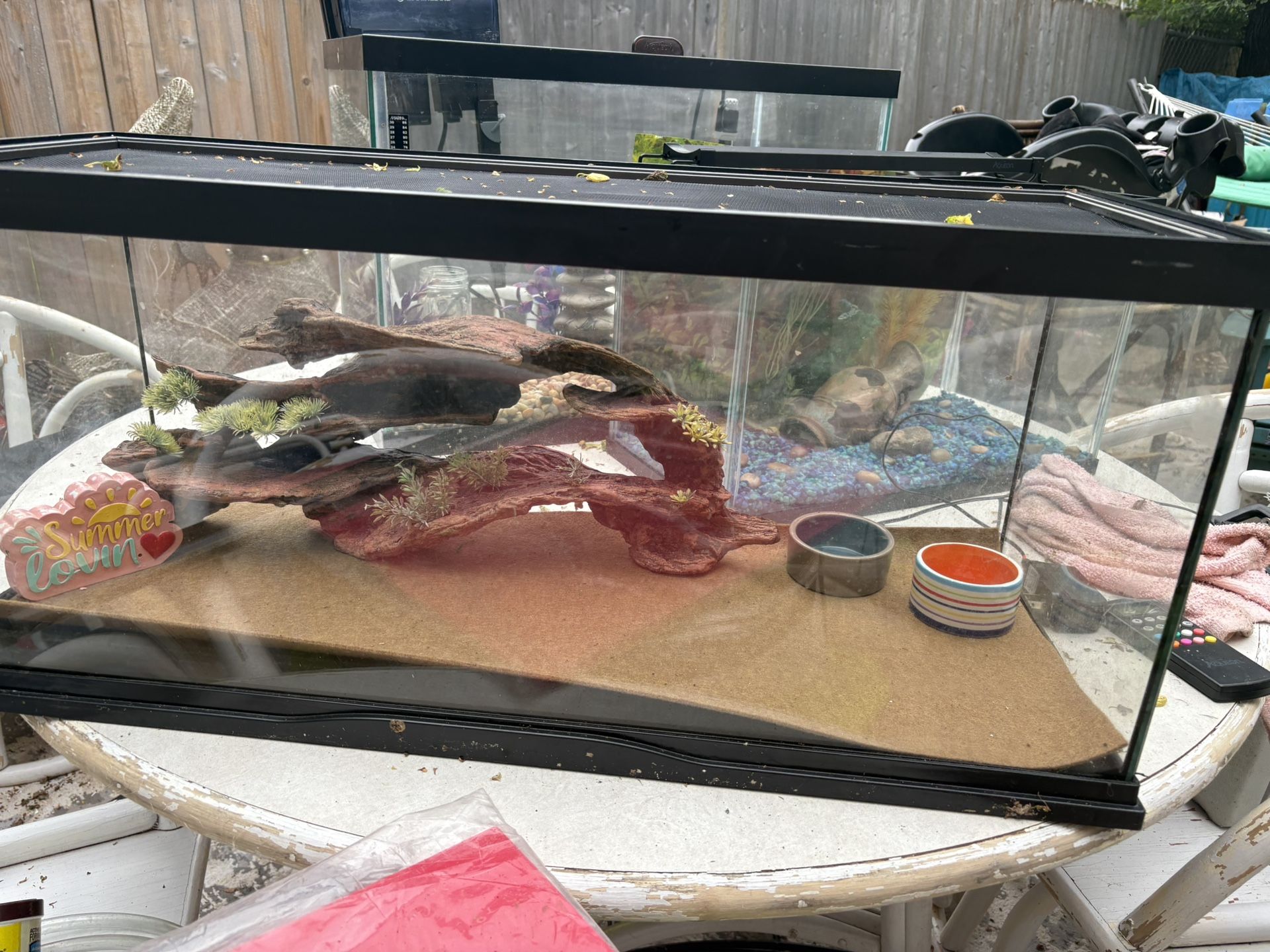 Reptiles Tank
