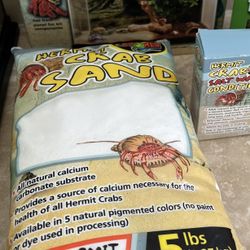 Helmit Crab Kit, Sand And Shells.