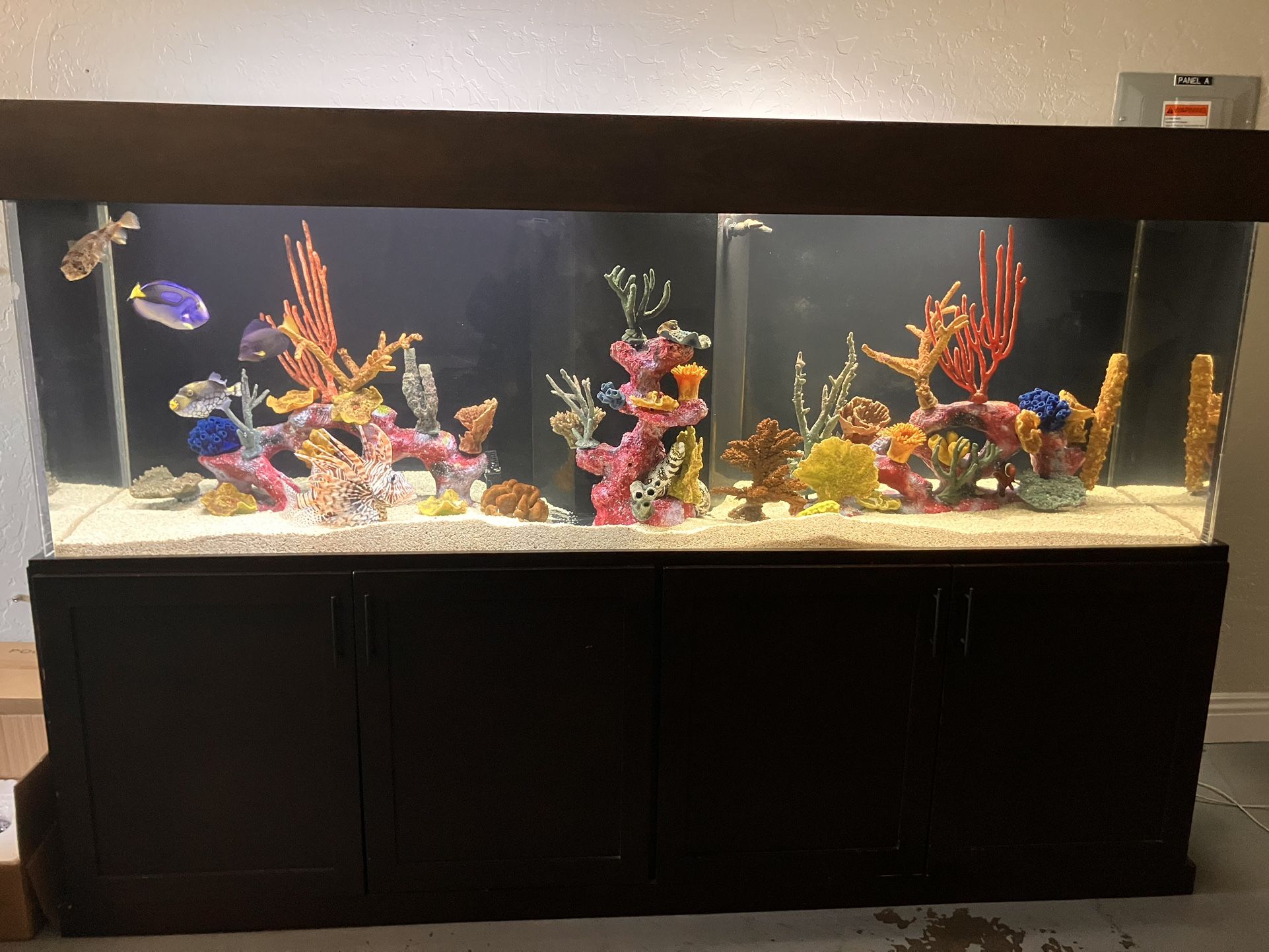 MASSIVE FISH TANK WITH FISH