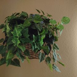 WALL HANGING PLANT (LARGE)