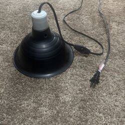 Reptile, Heat Lamp And BulbS