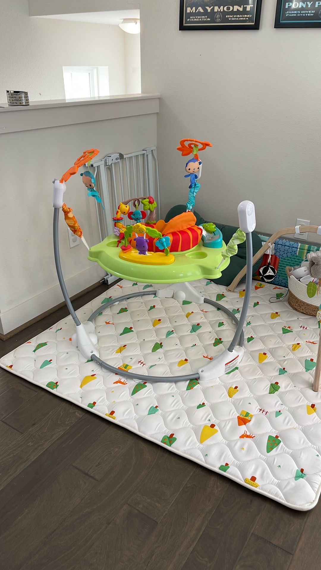 Fisher Price Jumper
