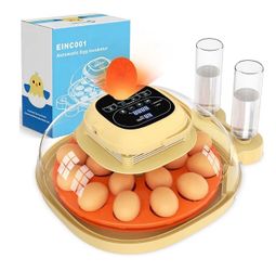 New Egg Incubator for Hatching Eggs