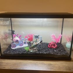 Top Fin Essentials 10 Gallon Aquarium w/ Accessories and More 