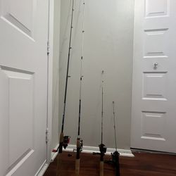 Fishing Rods