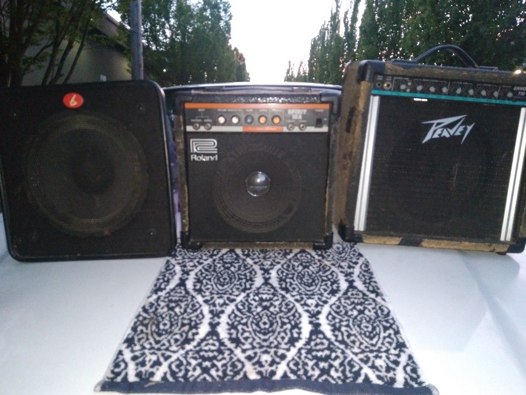 Fender Guitar Speaker/Roland Spirit 10A  Guitar Amp Speaker Combo And Peavey Envoy 110 Guitar Amp Speaker Combo 