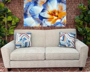 Free Delivery Cream Gray Couch