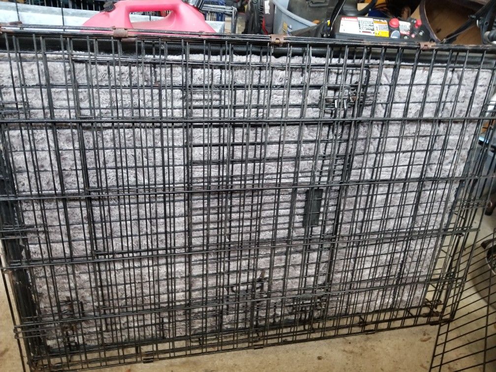 Dog Cage 